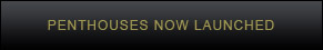 Penthouses Now Launched